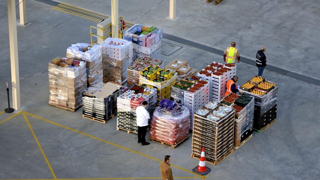 MOCtb-groupagetransport